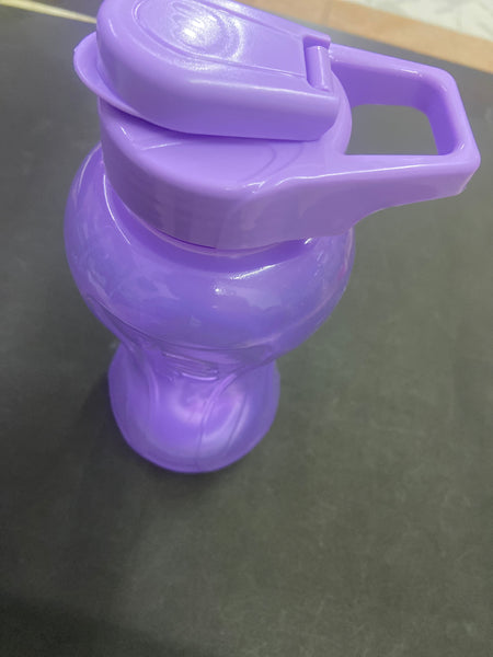 TP1-19 BOTELLA LILA 1PZ