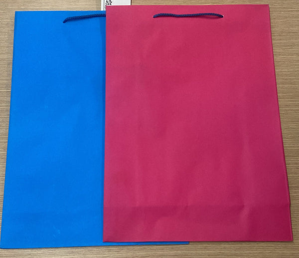 G2 BOLSA DE REGALO DE COLORES VERTICAL N33 60PZ