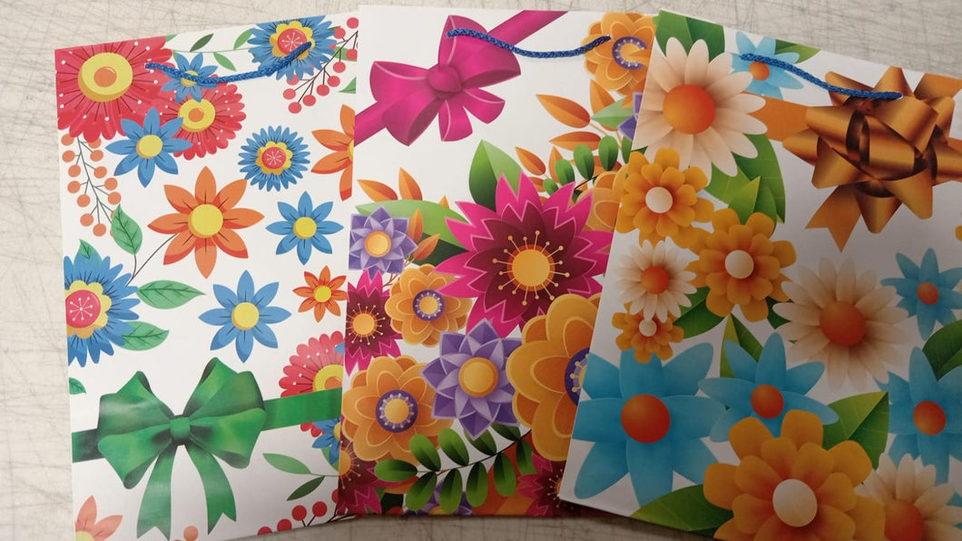 A3 BOLSA DE REGALO N20 60PZ
